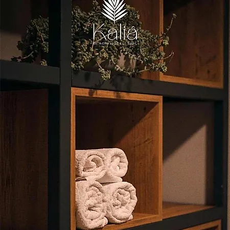 Hotel Kalia *