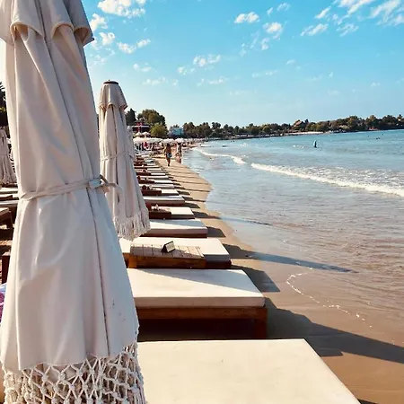 Kalia Ex Kale * Side